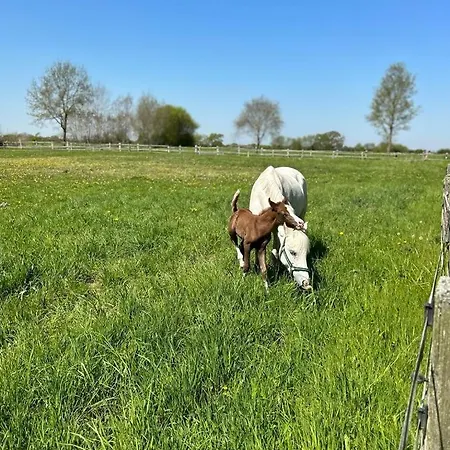 Luett Piergorn 1 Holiday home *